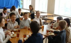 Школа представляет собой жизненно важную среду, используя которую можно оказывать влияние на процесс правильного питания и формировать у школьников верные навыки и стереотипы в данном вопросе. В школе существуют эффективные возможности, для проведения работы по охране здоровья и здоровому питанию. Именно школьный возраст является тем периодом, когда происходит основное развитие ребенка и формируется образ жизни, включая тип питания.

Организованное школьное питание регламентируется санитарными правилами и нормами, и поэтому в значительной степени удовлетворяет принципам рационального питания.